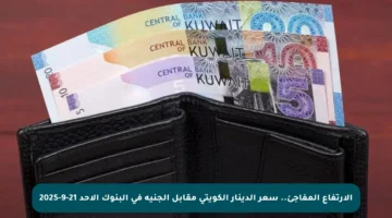 الارتفاع المفاجئ.. سعر الدينار الكويتي مقابل الجنيه في البنوك الأحد 21-9-2025